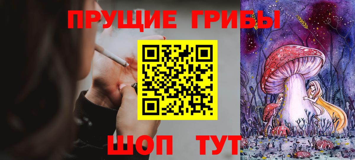 Губкин  Псилоцибиновые грибы Cubensis  Вход с VPN 