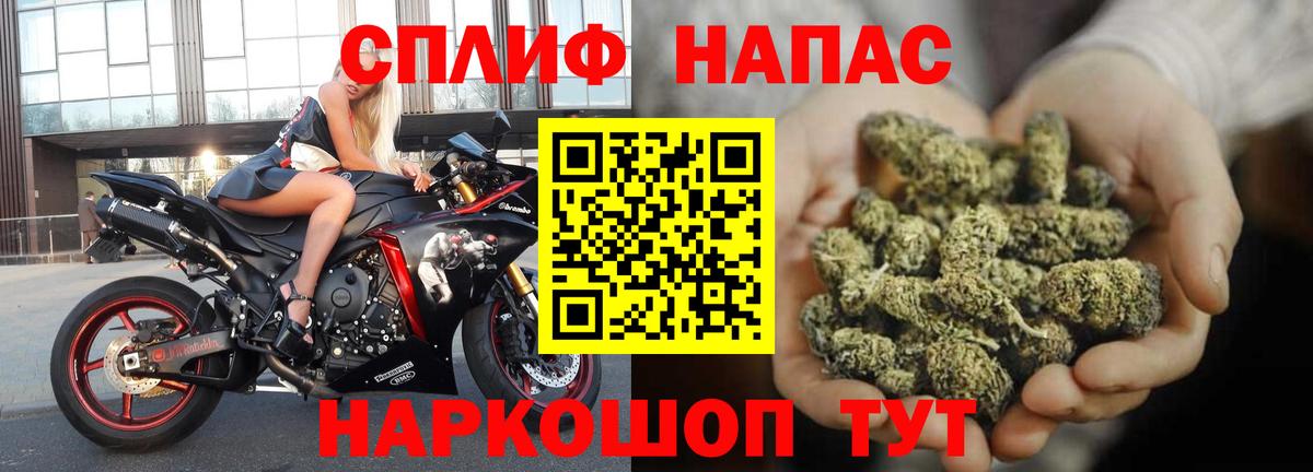 Шишки марихуана сатива Губкин